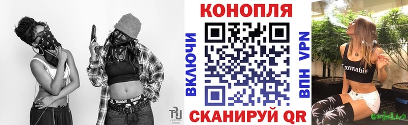 где купить наркоту Боровск Бошки марихуана SATIVA & INDICA